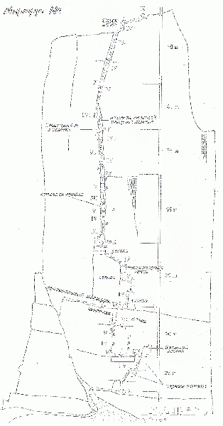 Файл:Пройс 4.gif